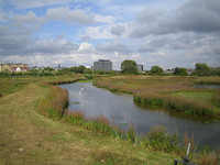 Wetland