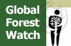 Global forest watch